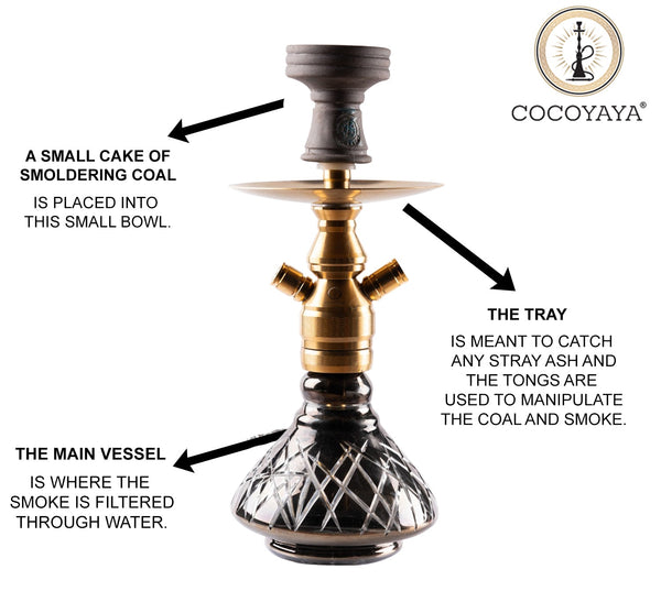 Cocoyaya Hookah Prince Series- Rocco Design, 14 Inches, Gold