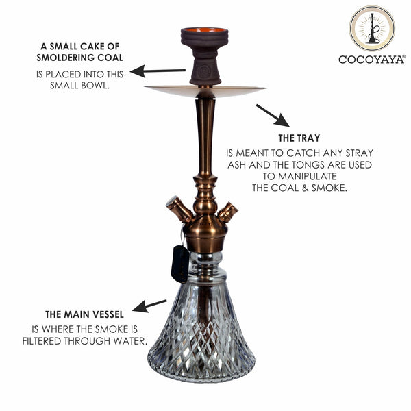Cocoyaya Hookah Prince Series- Izzy Design, 16 Inches, Rose Gold